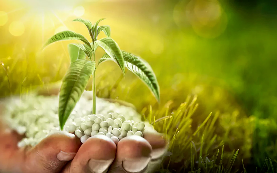 Una pequeña planta creciendo sobre compuestos plásticos ecológicos no contaminantes